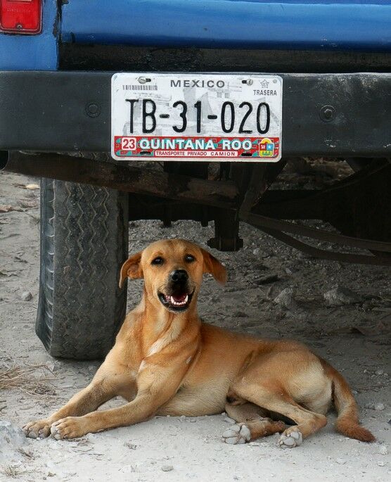 Click to See Next Image